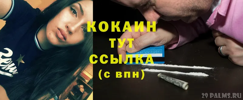 как найти закладки  kraken как зайти  Cocaine Боливия  Дигора 